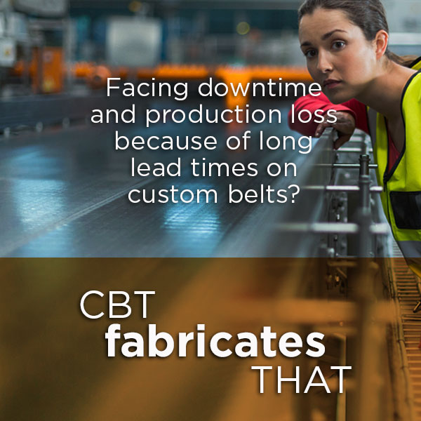 Belting and Conveyor Expertise. CBT Company